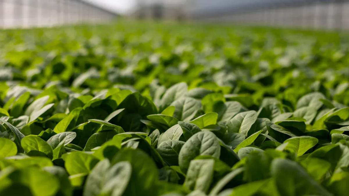 Improved Accuracy with Seed Planting Machines