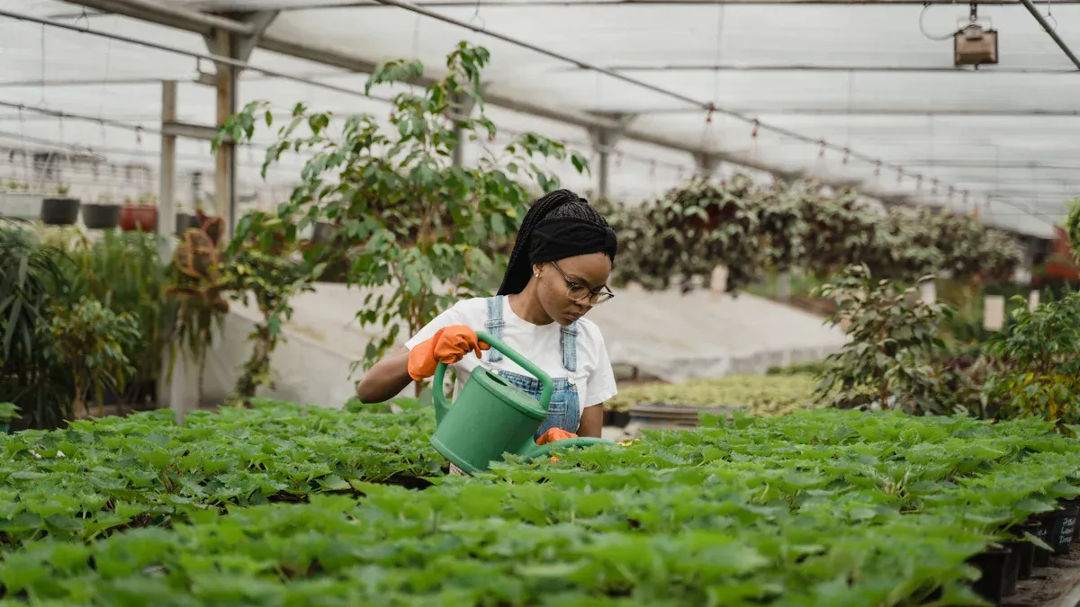 Is Your Garden Missing a Cultivator's Magic Touch