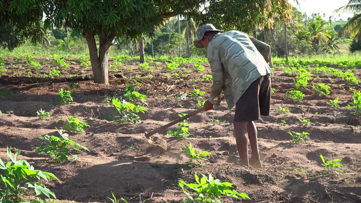 Using a Cultivator Effectively