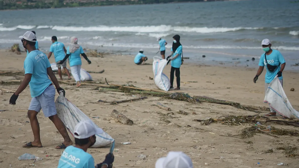 Positive Environmental Impact of Beach Rock Pickers