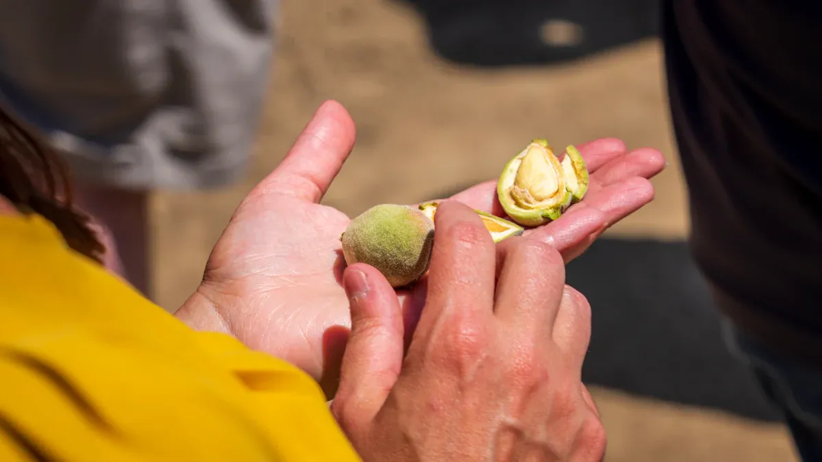 Types of Hand Held Harvesters