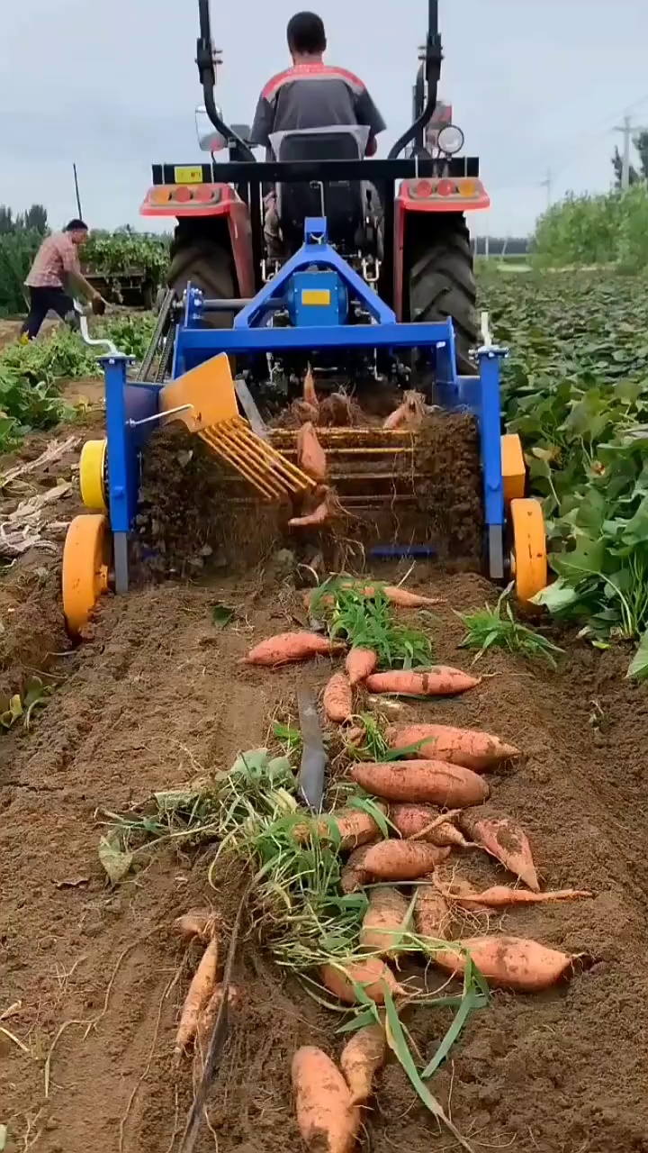 Mini Agricultural Tractor 4UX with PTO Drive /New 3-Point Hitch for Home Farm Use Iron Small Potato Harvester Digger