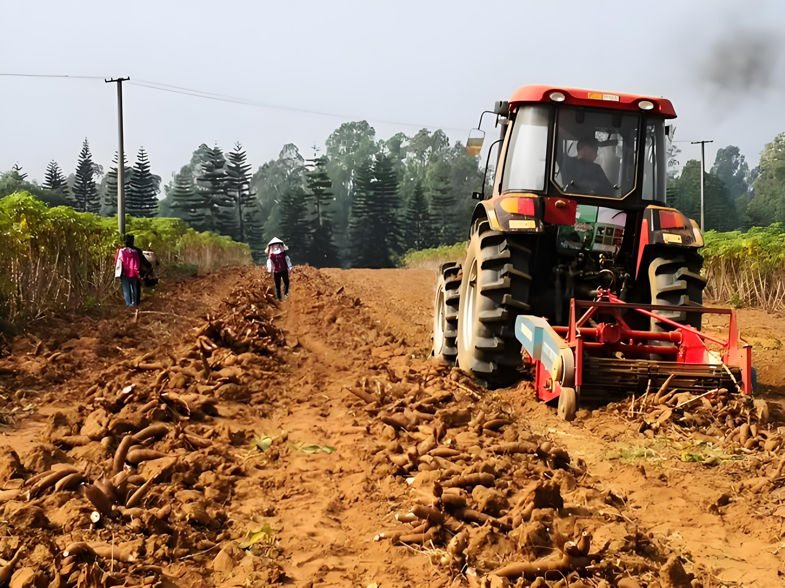 Cassava Harvester
