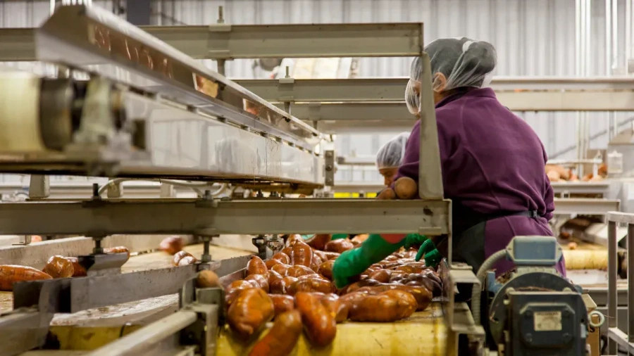 Why PP Rods Are Ideal for Food Industry Applications