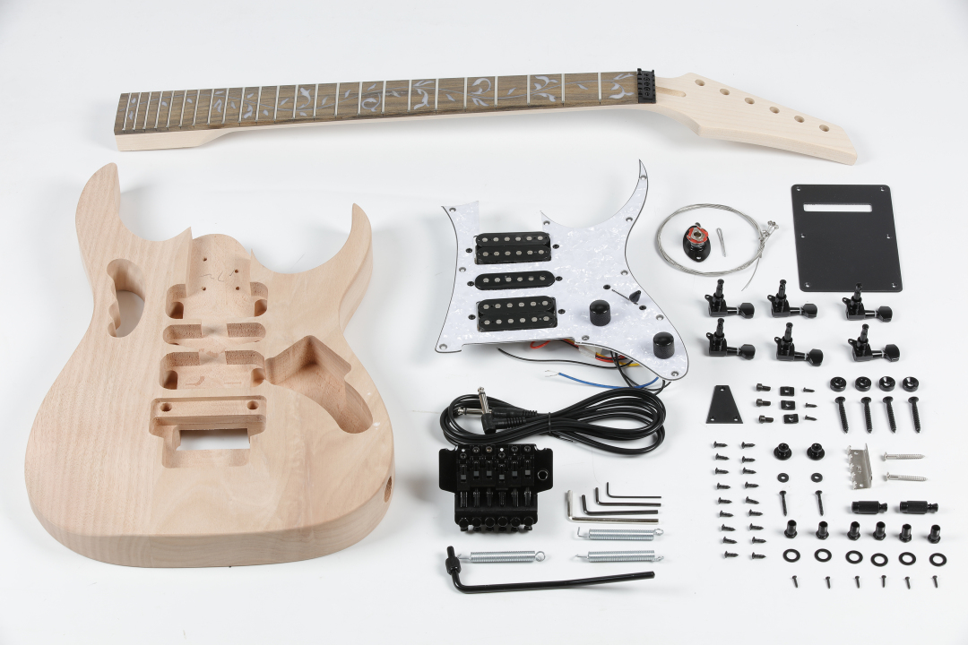 Leo Jaymz DIY Electric Guitar Kits in IBZ Style Mahogany Body and Maple Neck Rosewood