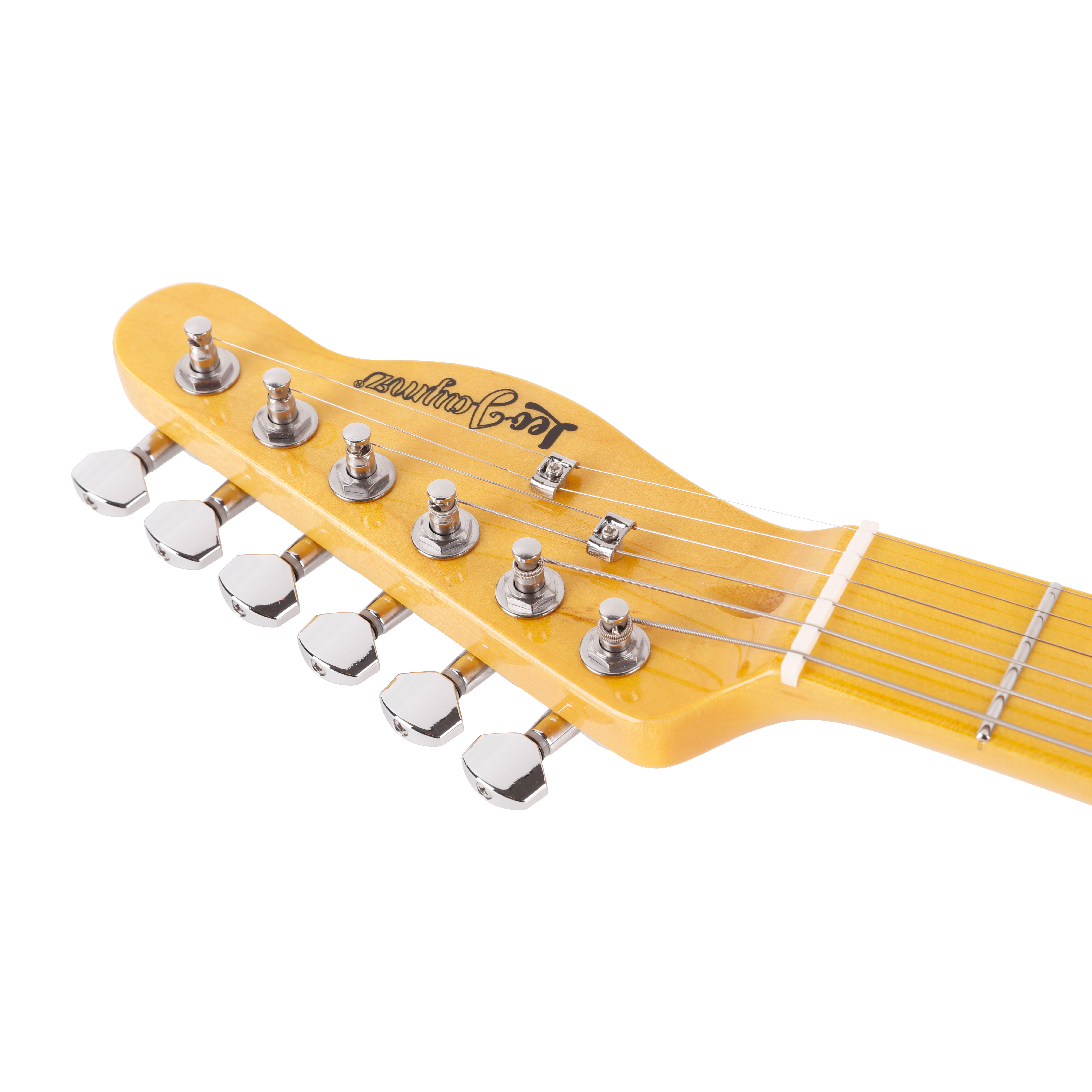 Leo Jaymz elctric guitar