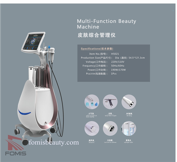 H5021 Multi-Functional High Quality Specialty Hydro dermabrasion Machine